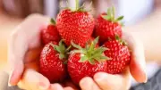 تناول الفراولة يوميًا: فوائد صحية مذهلة وتحذيرات هامة للجسم