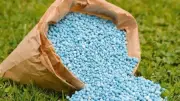استقرار أسعار الأسمدة اليوم رغم نشاط السوق السوداء وارتفاع الطلب