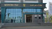 تفاصيل السلف الزراعية للفلاحين في فروع البنك الزراعي المصري وشروط الحصول عليها