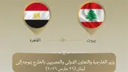 وزير الخارجية المصري يتوجه إلى بيروت لتسليم مساعدات إغاثية للشعب اللبناني