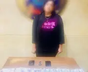 ضبط راقصة بتهمة نشر مقاطع فيديو خادشة للحياء عبر الإنترنت