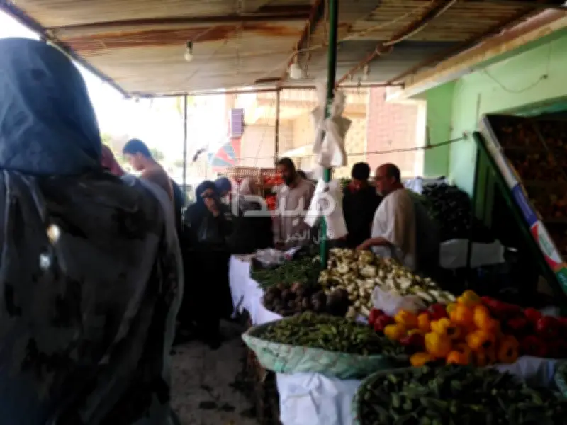 ضبط 13 طن دقيق في حملات تموينية مكثفة لمواجهة التلاعب بأسعار الخبز