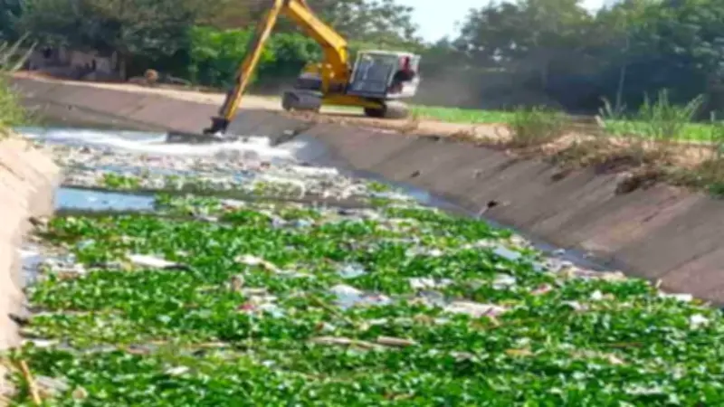 تطهير 515 كيلومتراً من المساقي واستخراج 244 ترخيصاً للمشروعات في المنوفية