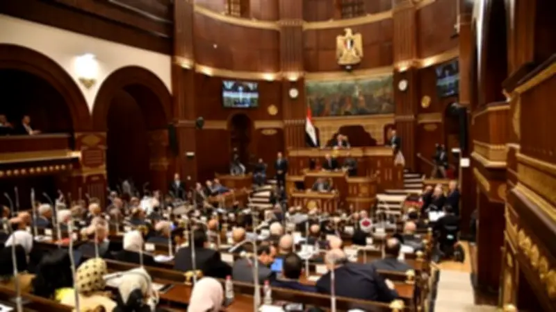 تقرير برلماني يؤكد: قانون حماية المنافسة يعزز تدخل الدولة لضبط الأسواق