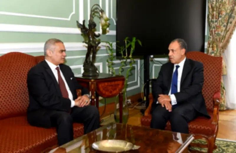 وزير الخارجية المصري: استضافة الملايين في اندماج كامل رغم محدودية الدعم الدولي