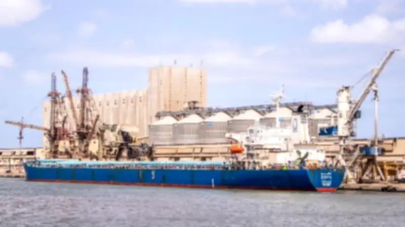 ميناء دمياط يستقبل سفينة قمح عملاقة من أوكرانيا ضمن حركة تجارية نشطة
