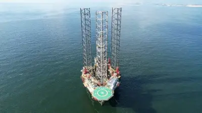 برلمانية: اكتشاف 