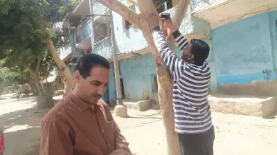 محافظ أسيوط يؤكد استمرار تركيب الأكواد التعريفية لأشجار مبادرة 100 مليون شجرة