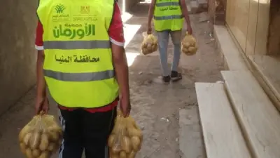 الأورمان توزع 11 ألف كيلو بطاطس على الأسر الأولى بالرعاية في المنيا