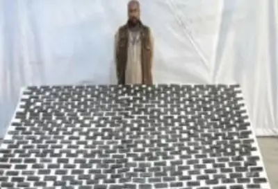 إحباط محاولة تهريب أطنان مخدرات بـ123 مليون جنيه في مطار القاهرة