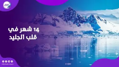 14 شهراً في القطب الجنوبي تغير بنية الدماغ وتضعف الذاكرة
