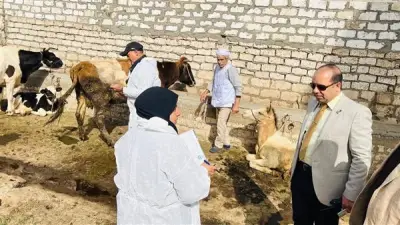 تحصين 14 ألف رأس ماشية ضد الحمى القلاعية والوادي المتصدع بالدقهلية