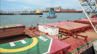 استقبال 15 سفينة وتداول 102 ألف طن بضائع وغلال بميناء دمياط