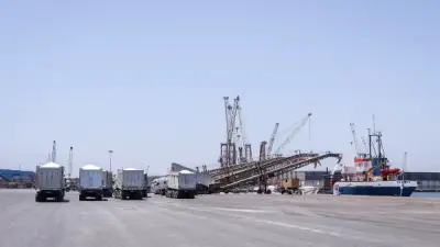 ميناء دمياط يسجل حركة نشطة باستقبال 15 سفينة وتصدير واردات بقيمة عشرات الآلاف من الأطنان