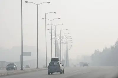 15 نصيحة من المرور لقيادة آمنة خلال الشبورة الكثيفة على الطرق