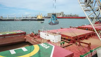 ميناء دمياط يستقبل 15 سفينة حاويات وبضائع عامة في 24 ساعة