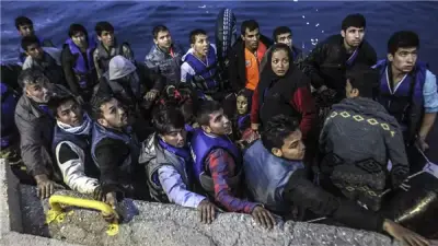 اكتشاف قرد مصري عمره 18 مليون عام قد يعيد كتابة تاريخ تطور الإنسان