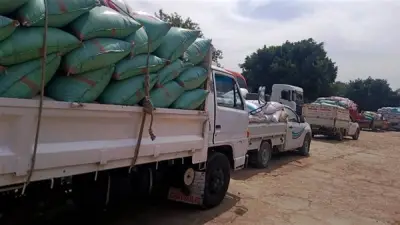 محافظ سوهاج: توريد 1844 طن قمح للشون والصوامع خلال 4 أيام