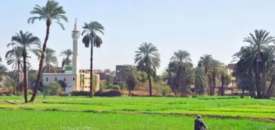 صورة نادرة تكشف حياة الفلاحين في الريف المصري عام 1935