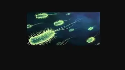 تحذيرات من بكتيريا آكلة للحوم في مياه لونج آيلاند.. خطر الوفاة 20%