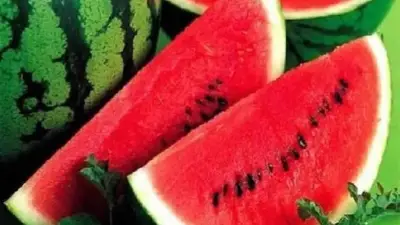 نقيب الفلاحين: انخفاض أسعار البطيخ بنسبة 20-30% مع زيادة المعروض في الأسواق