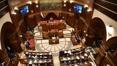 مجلس الشيوخ يدرس ضوابط مناقشة خطة التنمية الاقتصادية والاجتماعية للعام 2027/2026