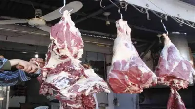 استقرار أسعار اللحوم اليوم الأربعاء 22 أبريل 2026 في الأسواق المصرية