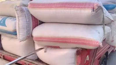 توريد 22 ألف طن قمح لمواقع التخزين بالدقهلية في موسم 2026