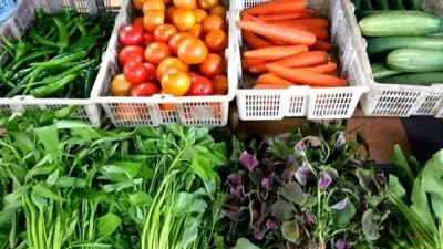 ارتفاع حاد في أسعار الخضار اليوم الأحد 26 أبريل 2026 في سوق العبور