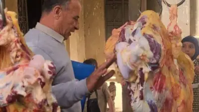 ضبط 277 كيلو لحوم ومنتجات غذائية غير صالحة في حملات رقابية مكثفة بمحافظة المنيا