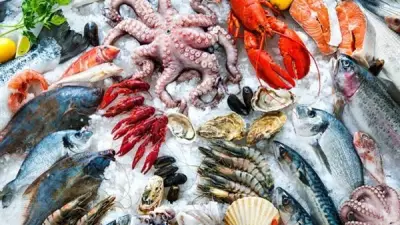 سعر السمك اليوم الثلاثاء 28 أبريل 2026: البلطي يرتفع والجمبري يتراجع