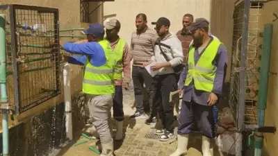 إزالة 293 وصلة مياه غير قانونية بالعاشر من رمضان لمواجهة سرقة المياه