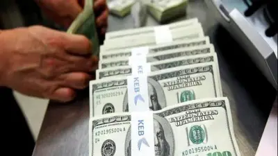 خبير اقتصادي يكشف أسباب قفزة تحويلات المصريين بالخارج لـ29.4 مليار دولار