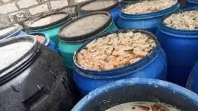 ضبط 3 أطنان مخللات فاسدة بالغربية.. عقوبات صارمة لـ