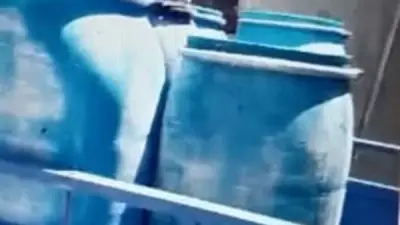 ضبط مصنع أجبان غير مرخص في بني سويف وضبط 3 أطنان من المنتجات الفاسدة