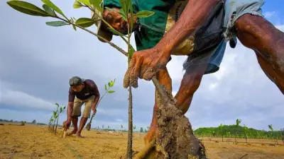 تحذير عاجل من تقلبات جوية حادة لمدة 3 أيام تبدأ الخميس