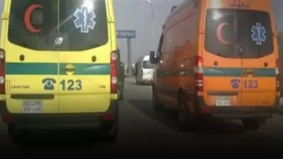 مصرع شاب وإصابة 3 في حادث اصطدام ميكروباص بعمود إنارة بالفيوم