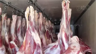 تباين أسعار اللحوم الحمراء اليوم الخميس 30 أبريل 2026