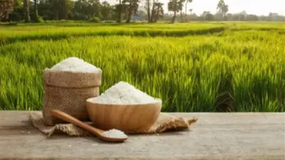 استقرار أسعار الأرز بالسوق المحلية اليوم الخميس 30 أبريل 2026