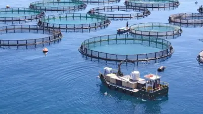 عُمان تطرح حزمة استثمارية في الأمن الغذائي بقيمة تصل إلى 32 مليون ريال