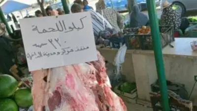 استقرار أسعار اللحوم والدواجن بالوادي الجديد.. البلدي بـ330 جنيها