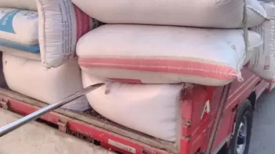 الدقهلية: توريد 3353 طن قمح محلي خلال الموسم الحالي