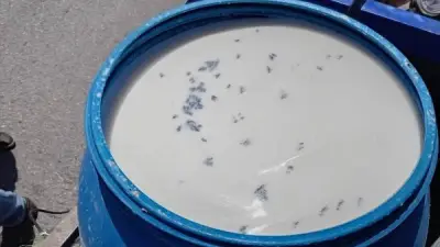 ضبط ألبان غير صالحة وغلق 34 منشأة مخالفة في حملة تموينية بالمنيا