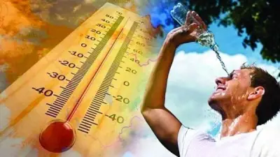 موجة حارة تضرب مصر بدءًا من الجمعة والعظمى تصل 37 درجة