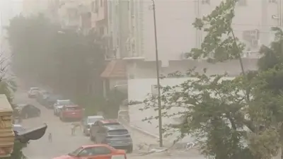 الأرصاد: 4 ظواهر جوية غدا وتحذير من رياح مثيرة للأتربة