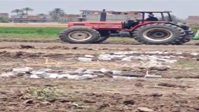 محافظ سوهاج: إحباط تبوير 4 أفدنة وإلزام المخالف بإعادتها للزراعة في المنشأة