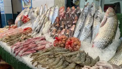 انخفاض 4 أصناف من السمك اليوم الجمعة 24 أبريل 2026 وارتفاع الكابوريا 10 جنيهات