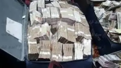 إحالة 4 متهمين للجنايات بتهمة الاستيلاء على 715 مليون جنيه من شركة طبية كبرى