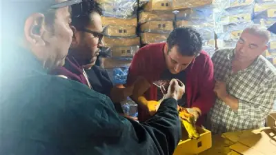 ضبط 4.25 طن رنجة فاسدة في الغربية قبل طرحها بالأسواق خلال عيد الفطر