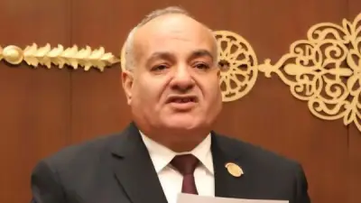 عضو بالشيوخ: ذكرى تحرير سيناء الـ44 ستظل خالدة في وجدان المصريين